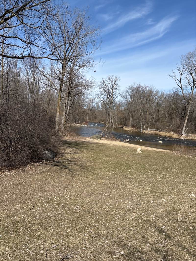 walking near me in Mill Pond Park in spring