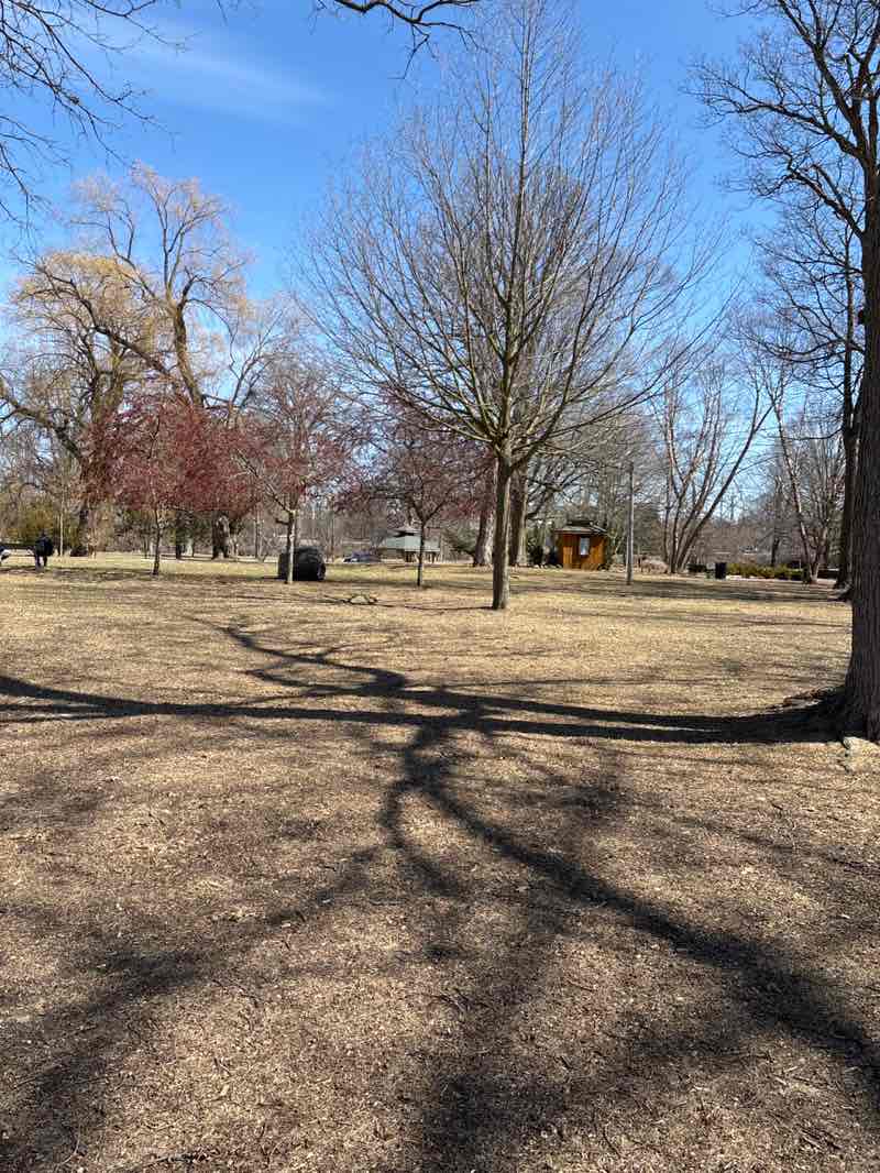walking near me in Nelson Park in spring
