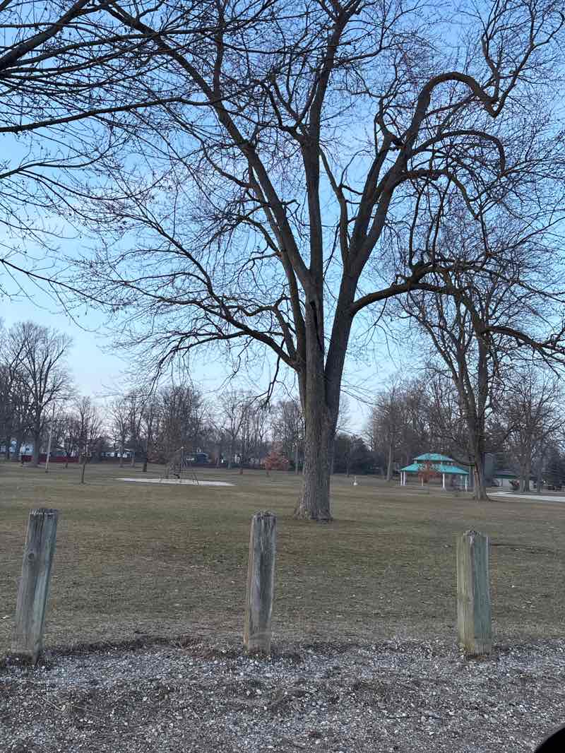 walking near me in Wright Park in spring
