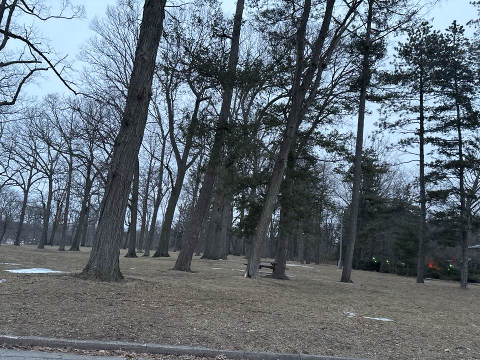 walking near me in Revere Park in spring