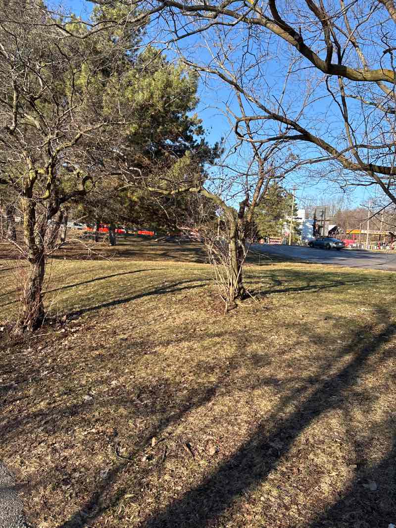 walking near me in Rotary Park in spring