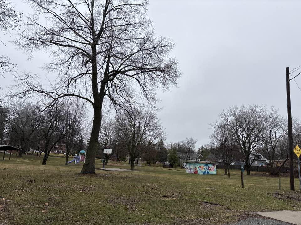 walking near me in King Park in spring