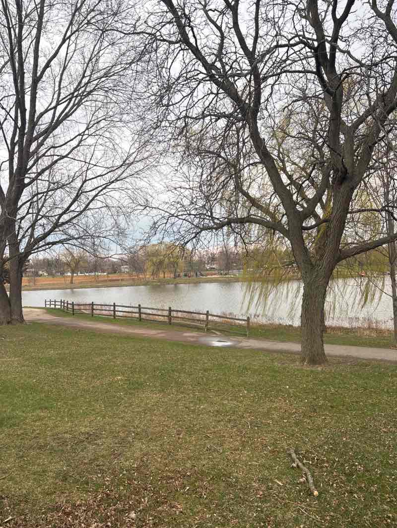 walking near me in Joseph L. Fabbrini Park in spring