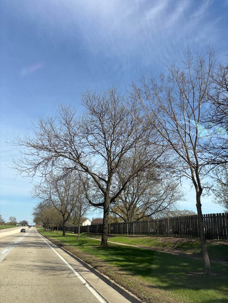 walking near me in Creekside Park in spring