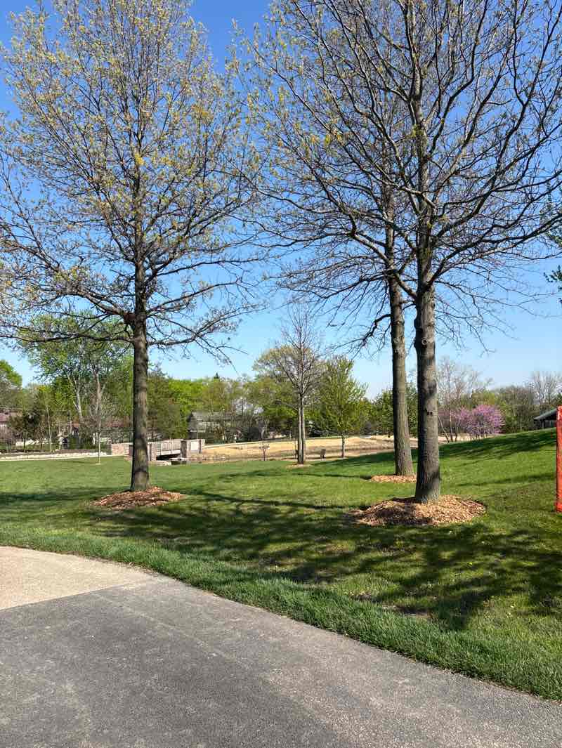 walking near me in Vogelei Park in spring