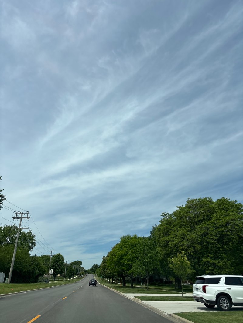 walking near me in Eisenhower Park in summer