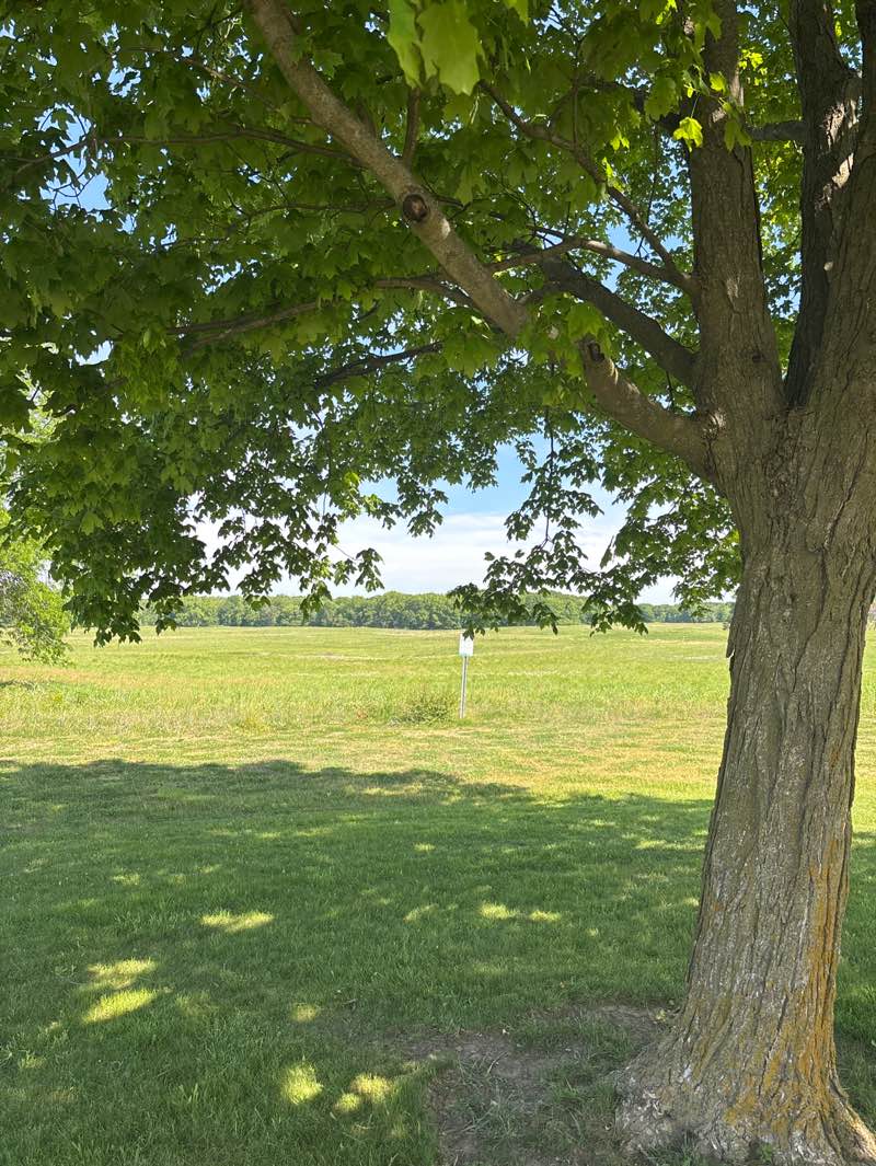walking near me in Paul Douglas Forest Preserve in summer