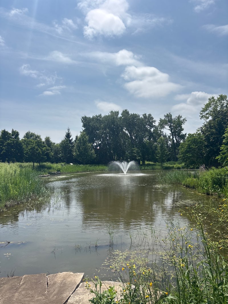 walking near me in Vogelei Park in summer