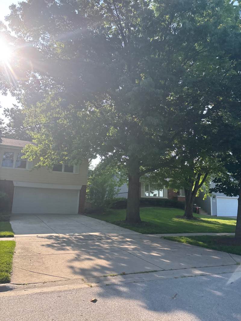 walking near me in Cottonwood Park in summer