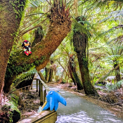 Sydney’s Steppers Ham post image