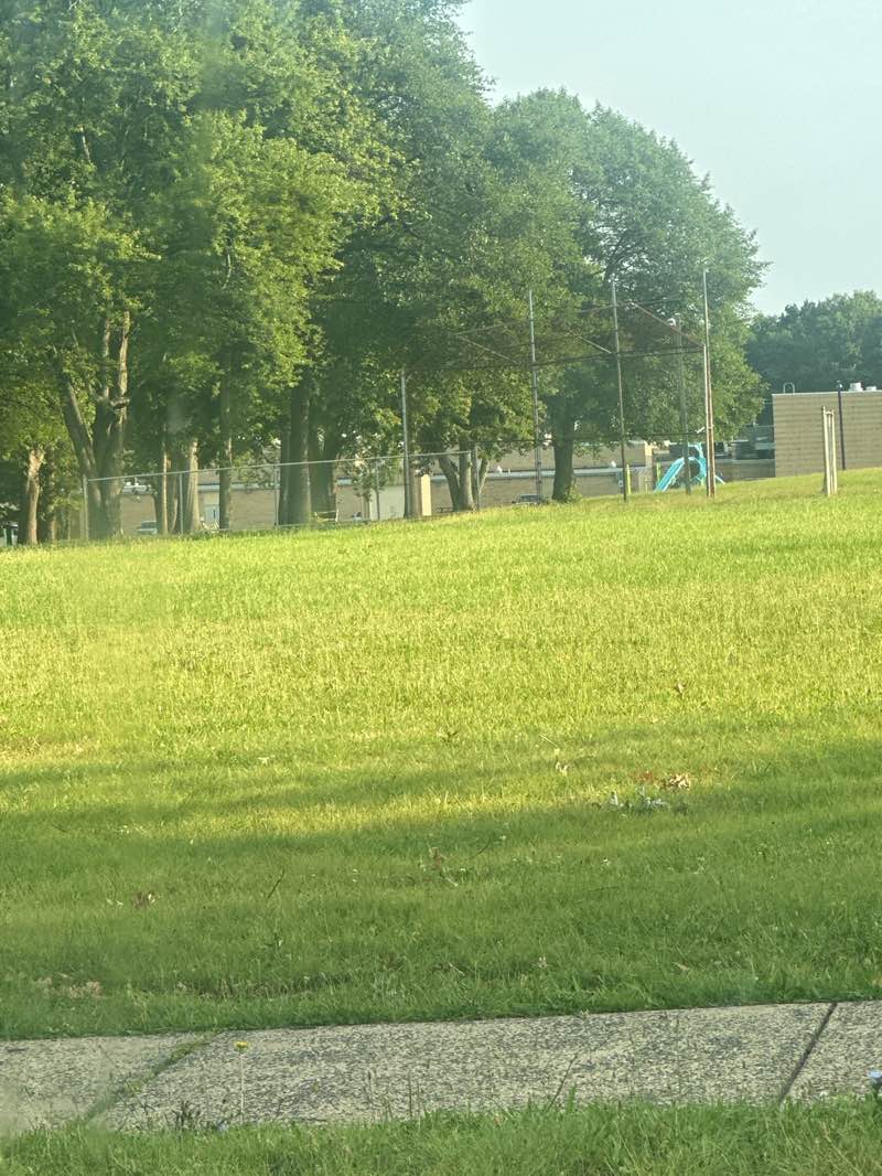 walking near me in Babbage Park in summer