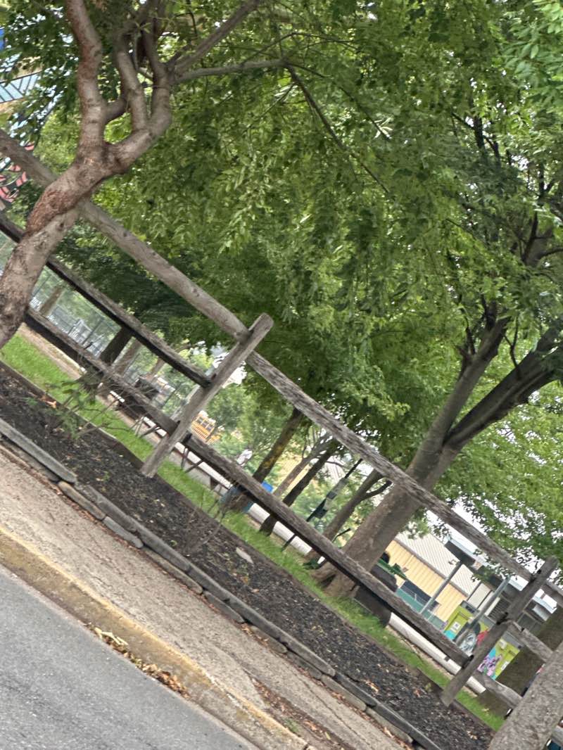 walking near me in Joyce Kilmer Park in summer
