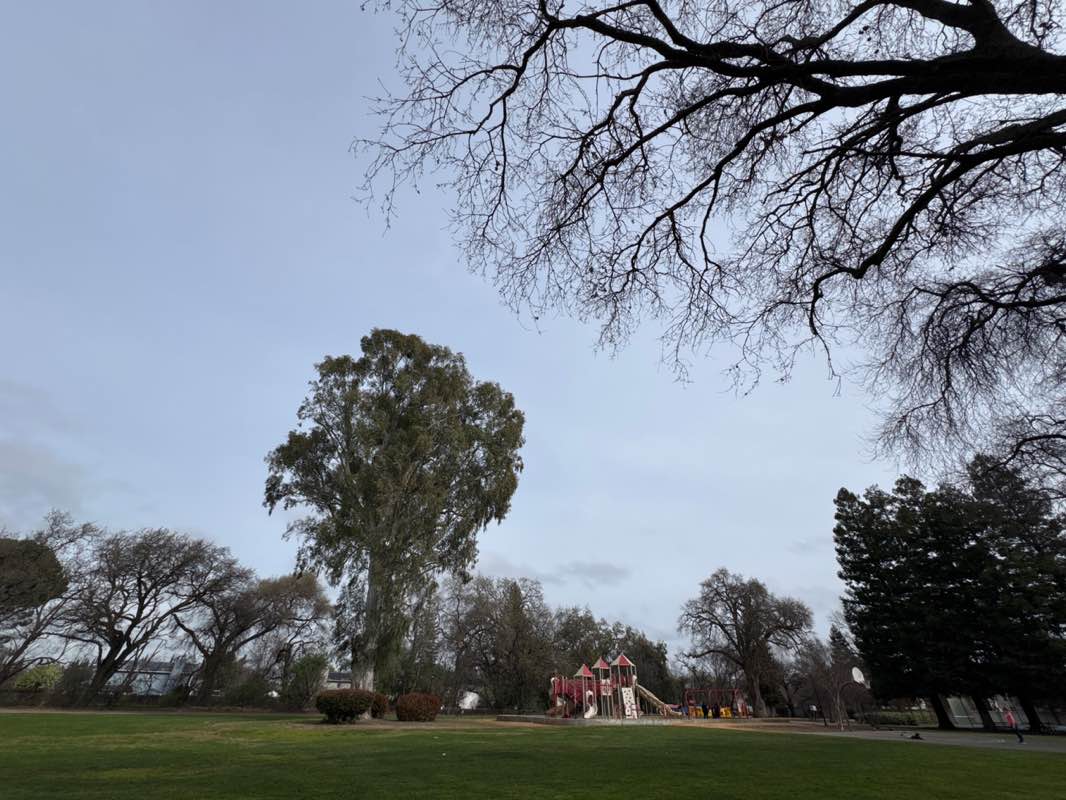 walking near me in Hawkins Park in winter
