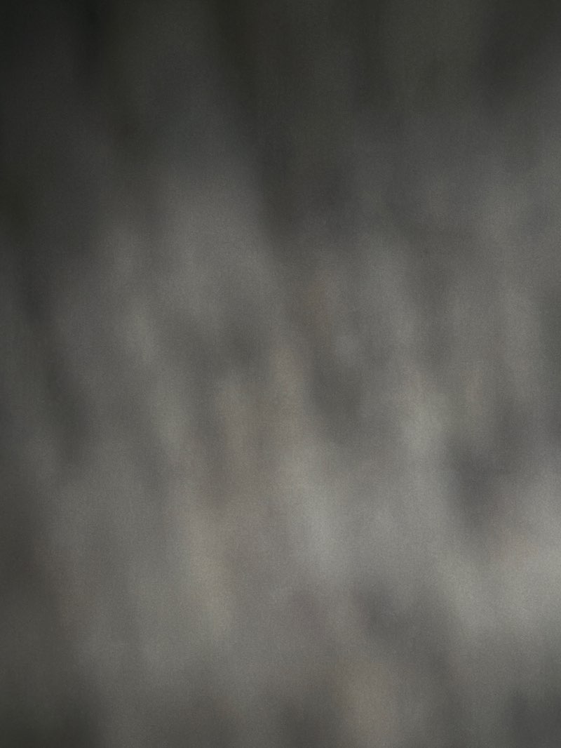 walking near me in Aberford Park in spring