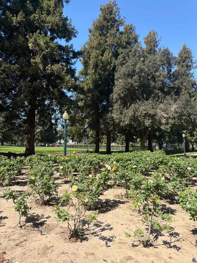 walking near me in Roxbury Park in spring