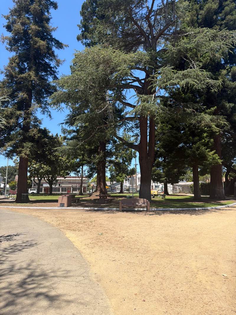 walking near me in Lincoln Park in summer