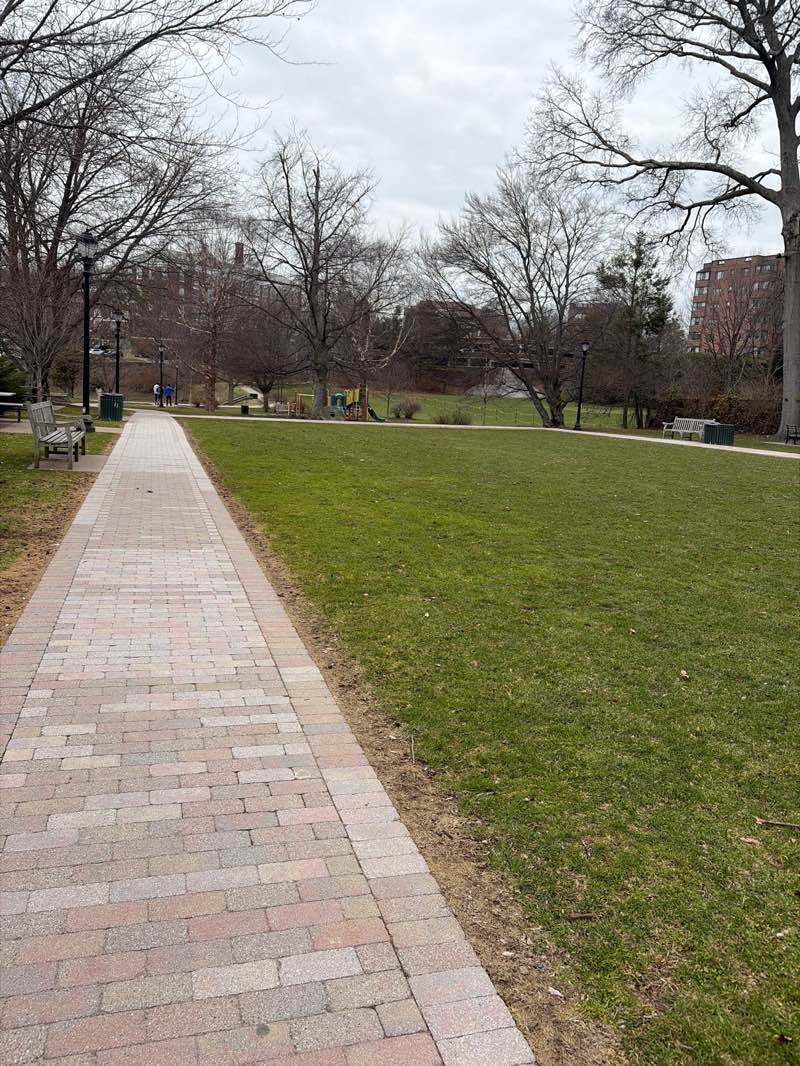 walking near me in Town Hall & Fields in spring