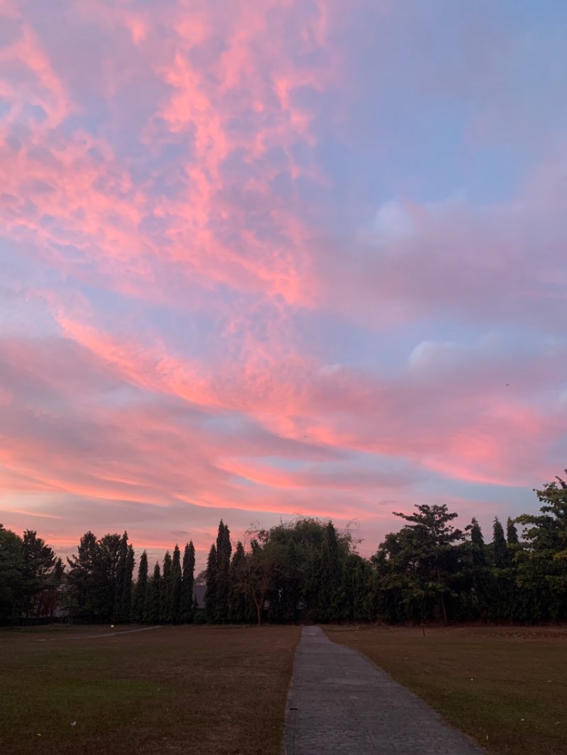 walking near me in Luisita Park in winter