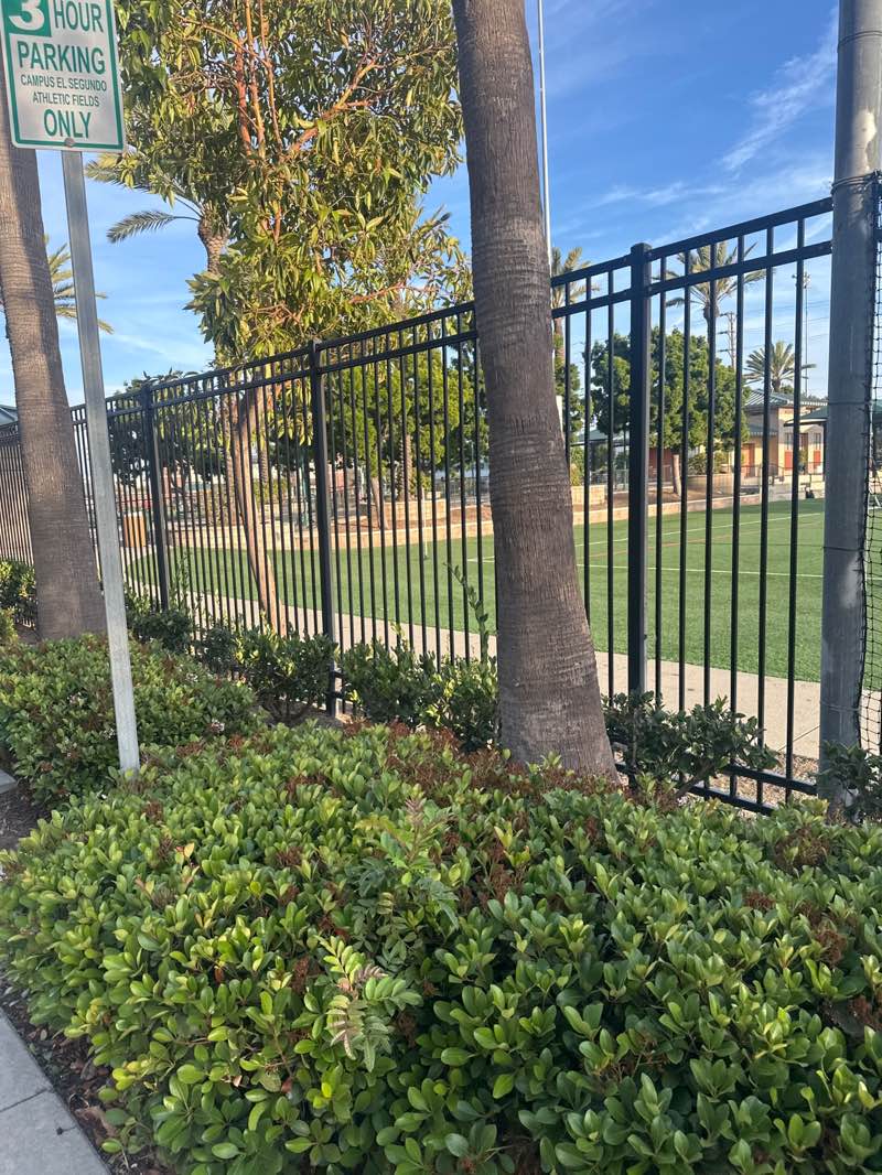 walking near me in Campus El Segundo Athletic Fields in spring