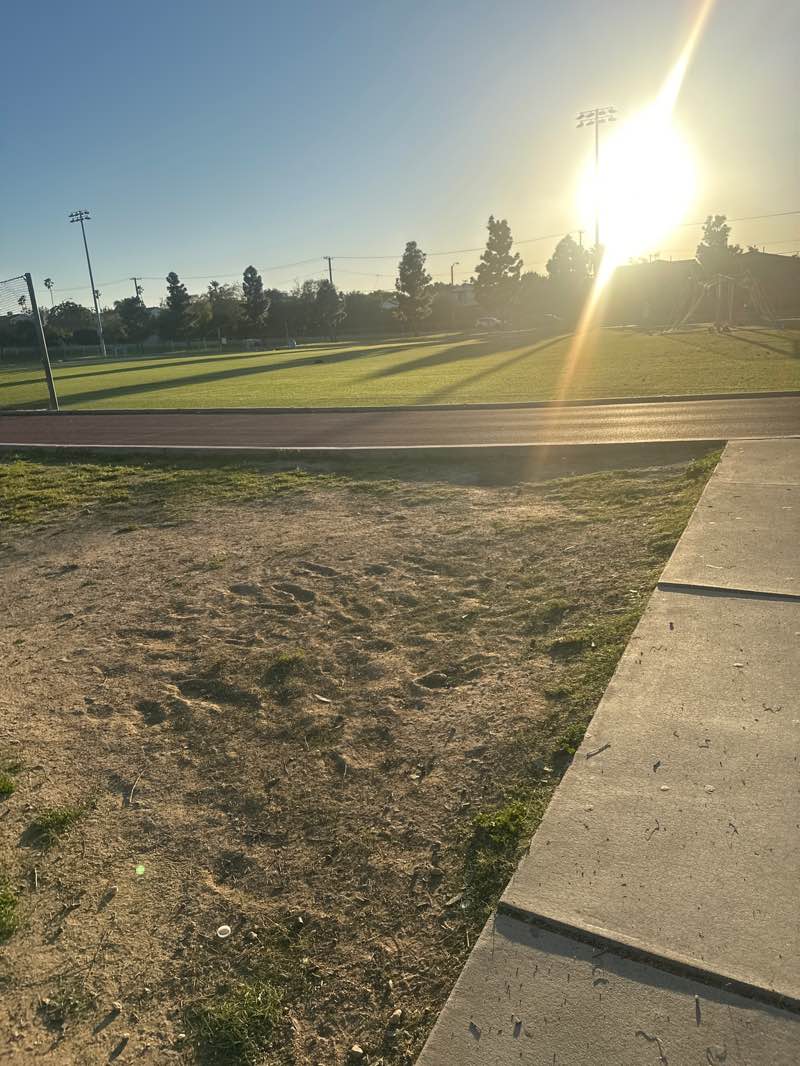 walking near me in Aviation Park in spring