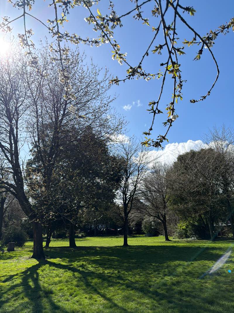 walking near me in Hartfield Square in spring