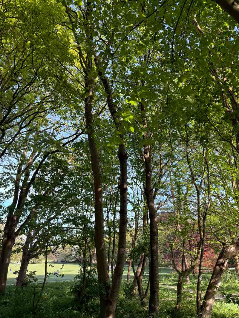 walking near me in Gildredge Park in spring