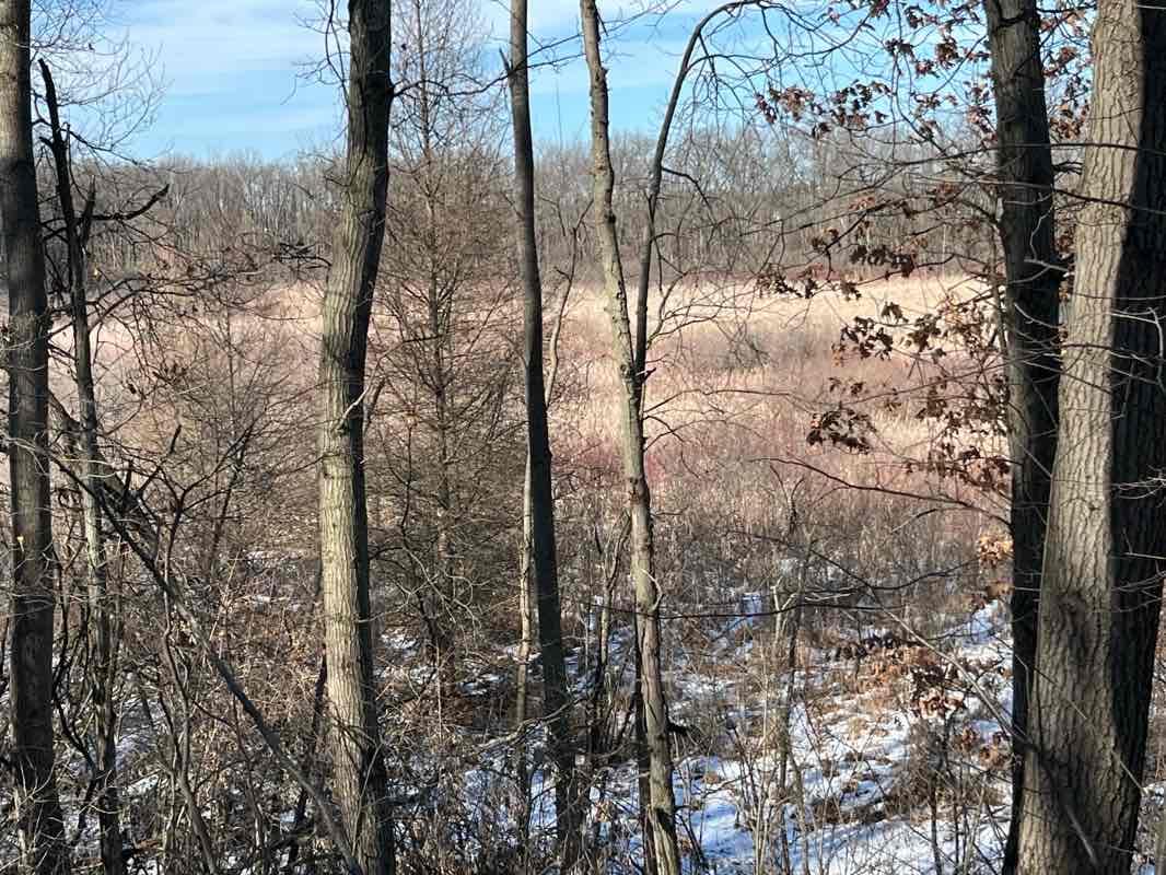 walking near me in Deerfield Hills Nature Area in winter