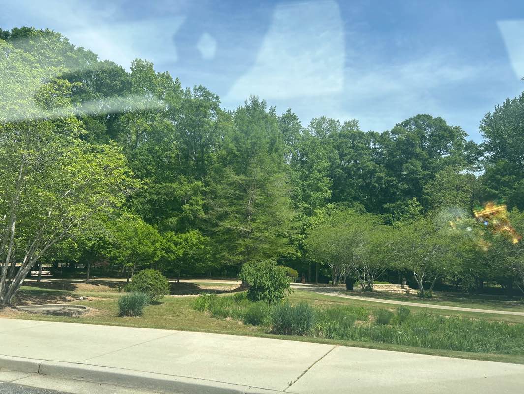 walking near me in Rock Mill Park in spring