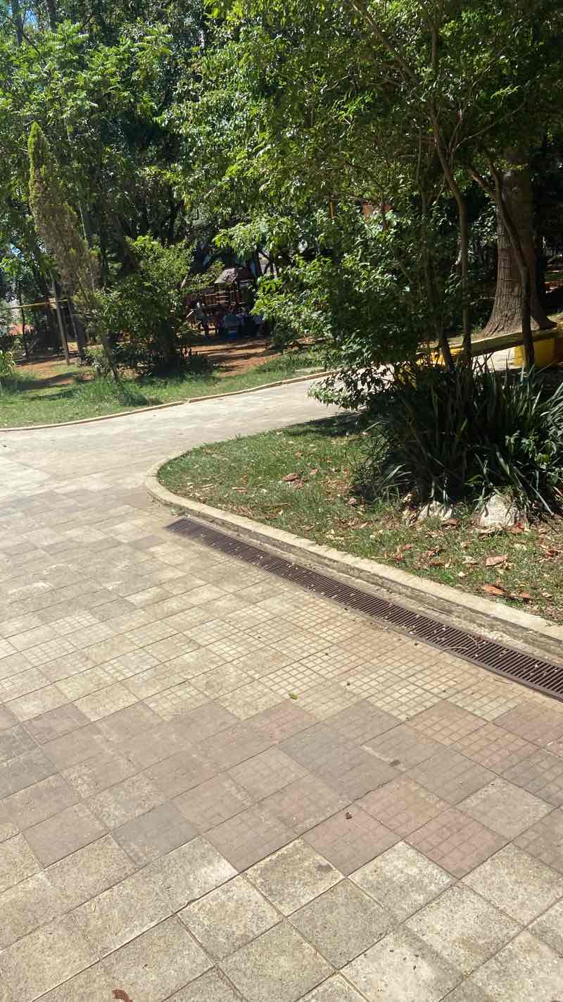 walking near me in Parque Júlio Fracalanza in summer