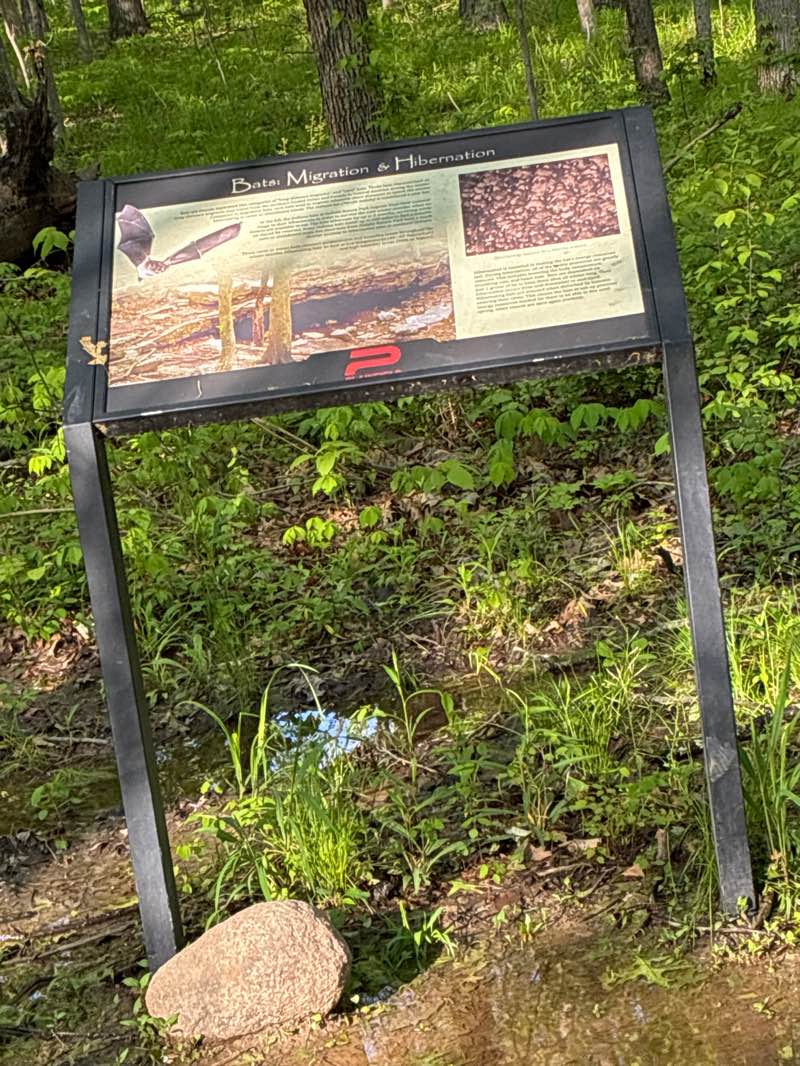 walking near me in Sodalis Nature Park in spring