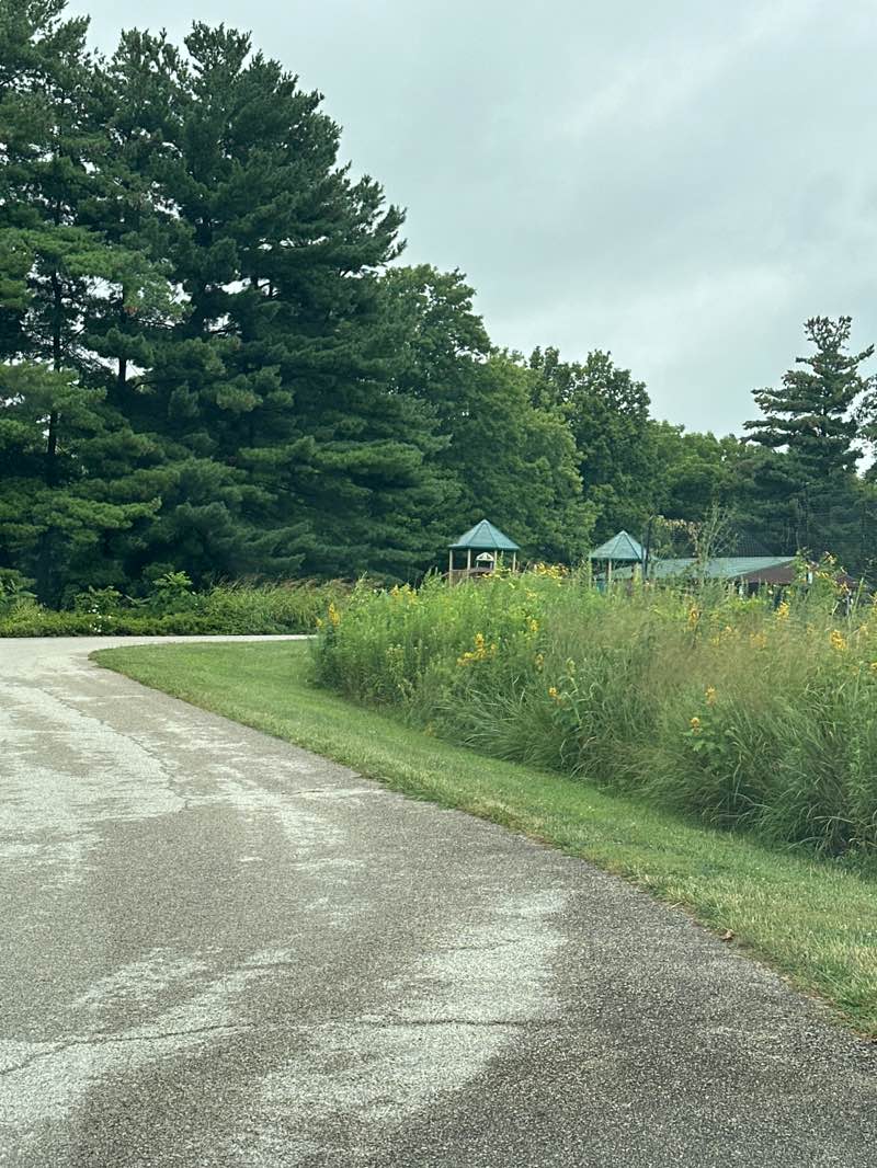 walking near me in Will Detmer Park in summer