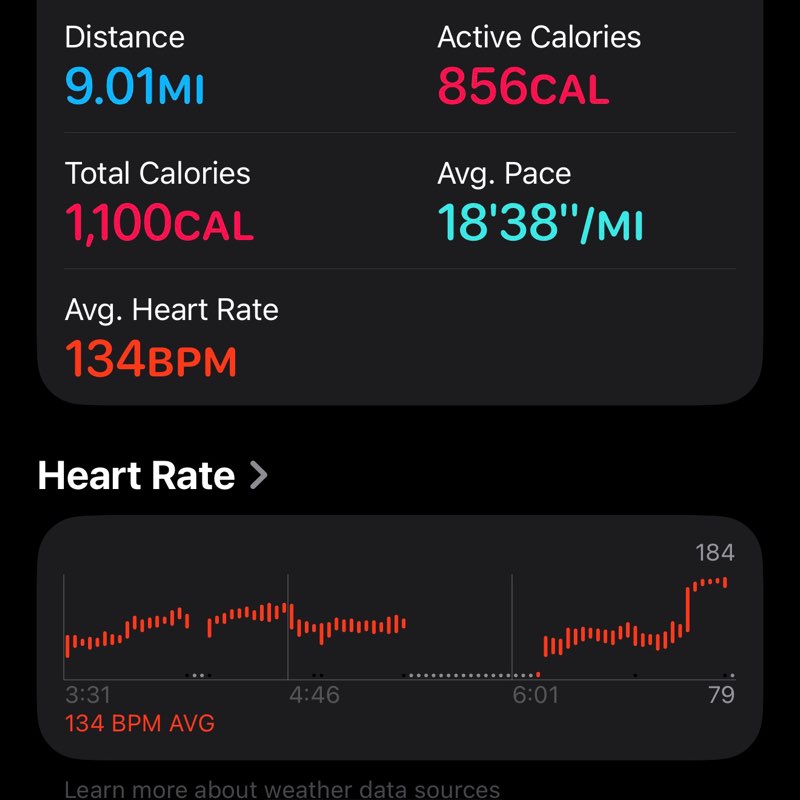 Staying Active Everyday Aracelie post image