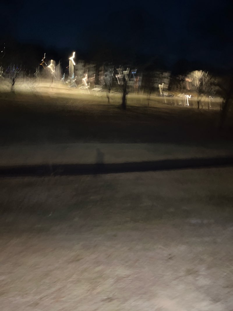 walking near me in Gillham Park in winter