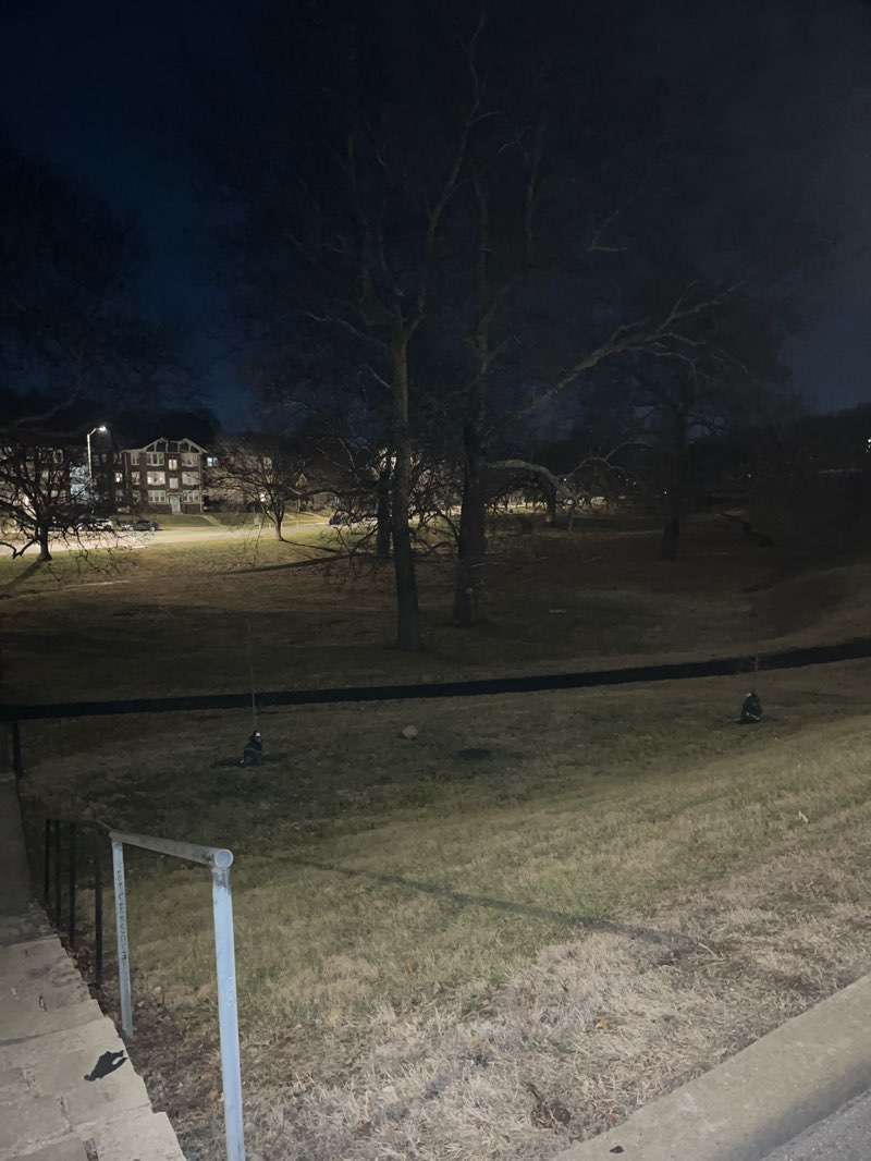 walking near me in Gillham Park in winter