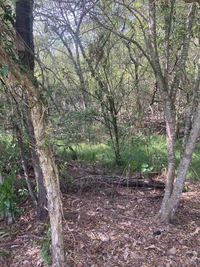 walking near me in Saltwater Creek Conservation Park in autumn
