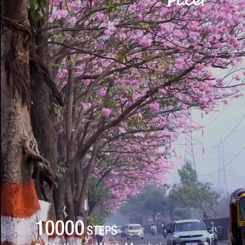 Siddhesh (MJW165) post 1