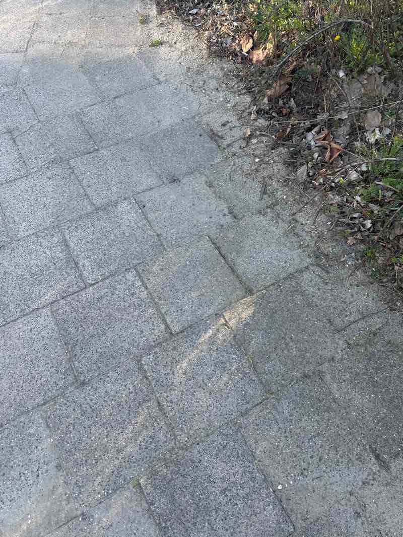 walking near me in Melanchtonpark in spring