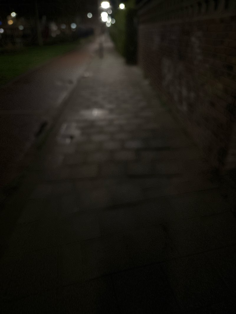 walking near me in Essenburgpark in spring