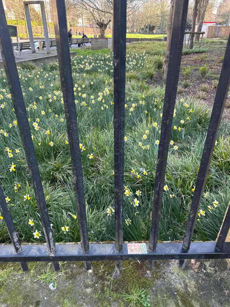 walking near me in Park Het Oude Westen in spring