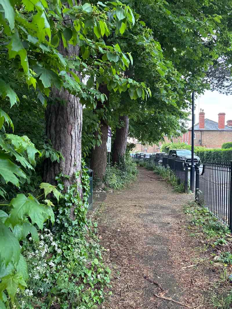 walking near me in Grenfell Park in spring