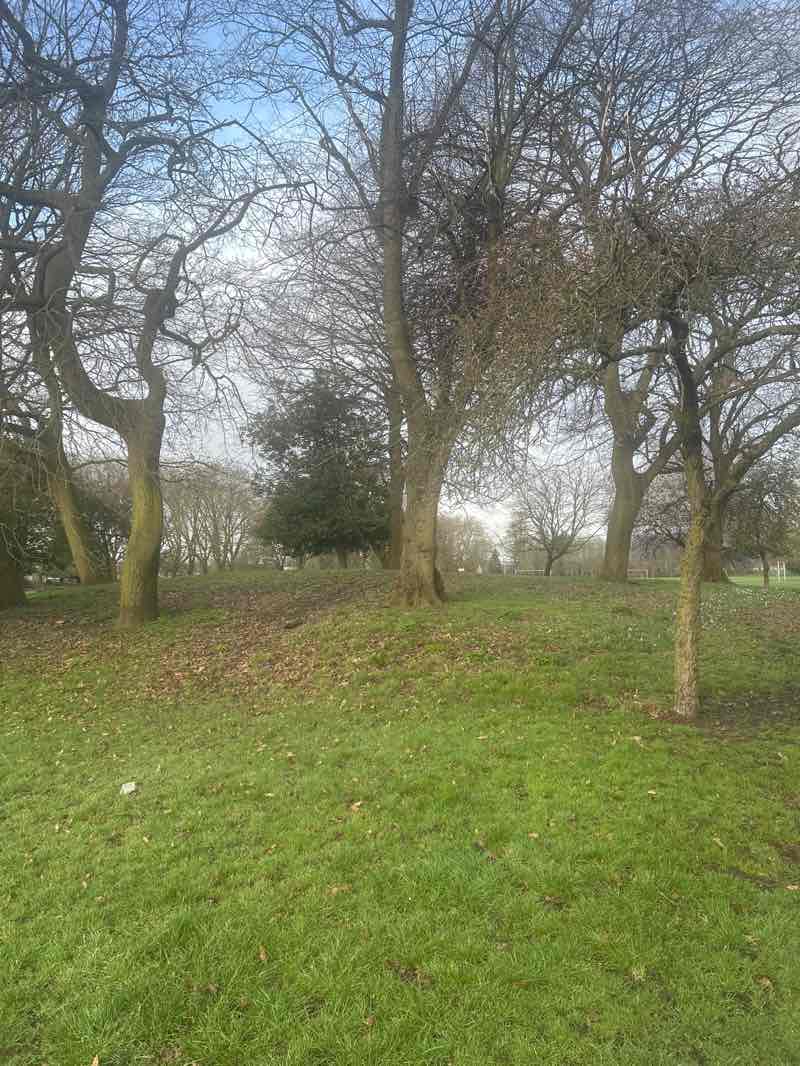 walking near me in East Park in spring