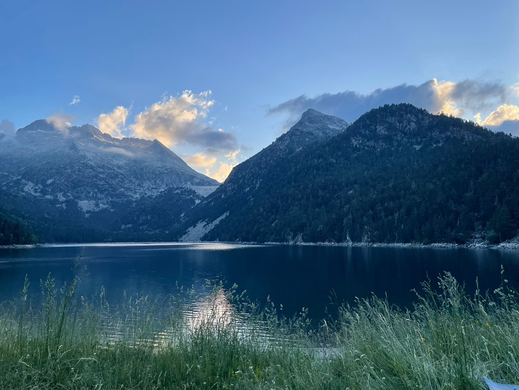 Virginie 🌱✌️& 🐕‍🦺