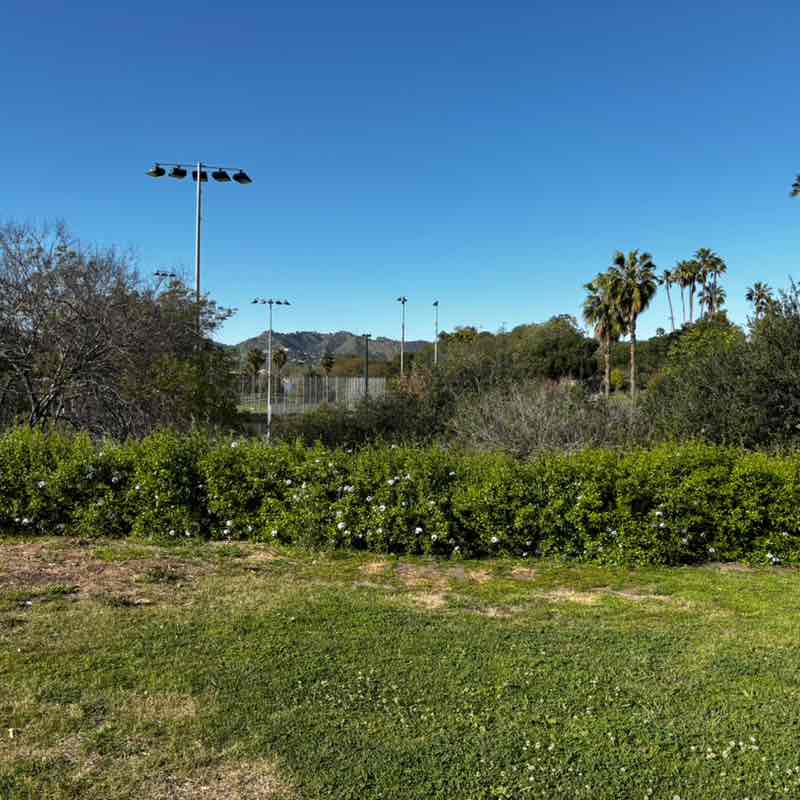 David Junehee Lee post 1