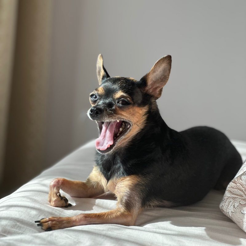 Nina