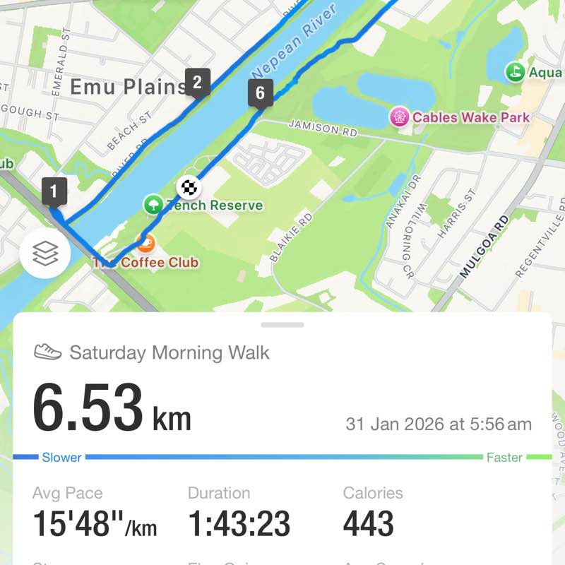 8 Week Challenge sana post image