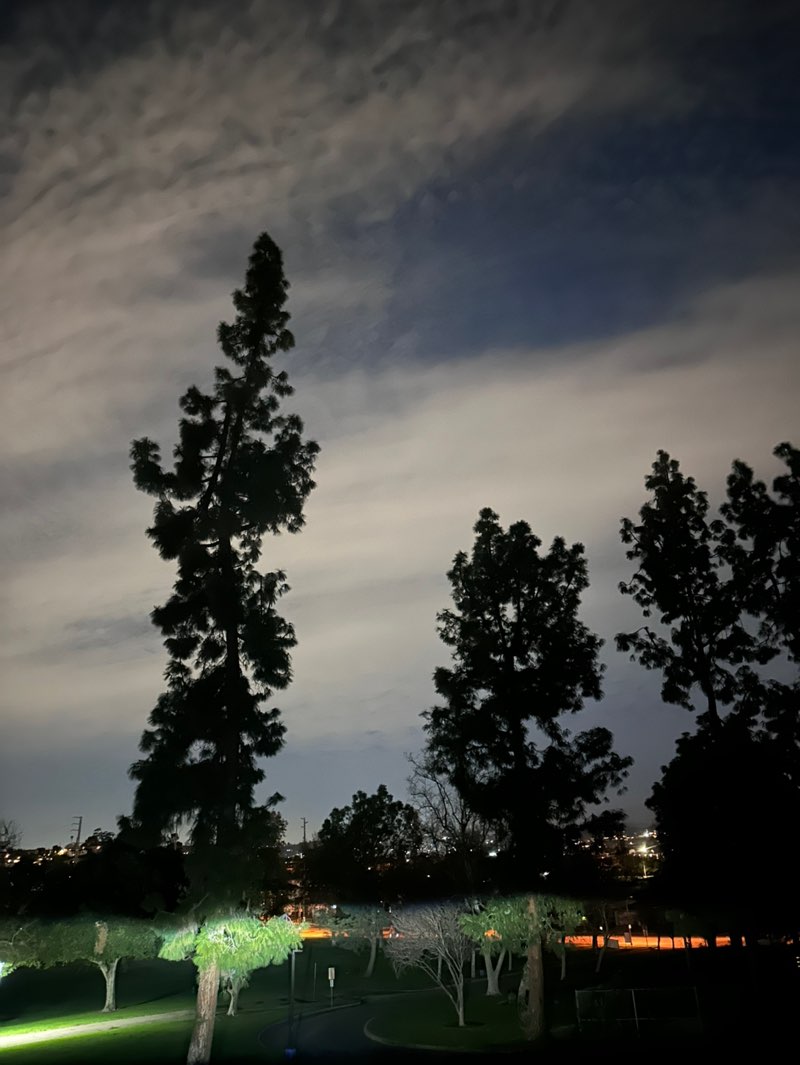 walking near me in Granada Park in winter