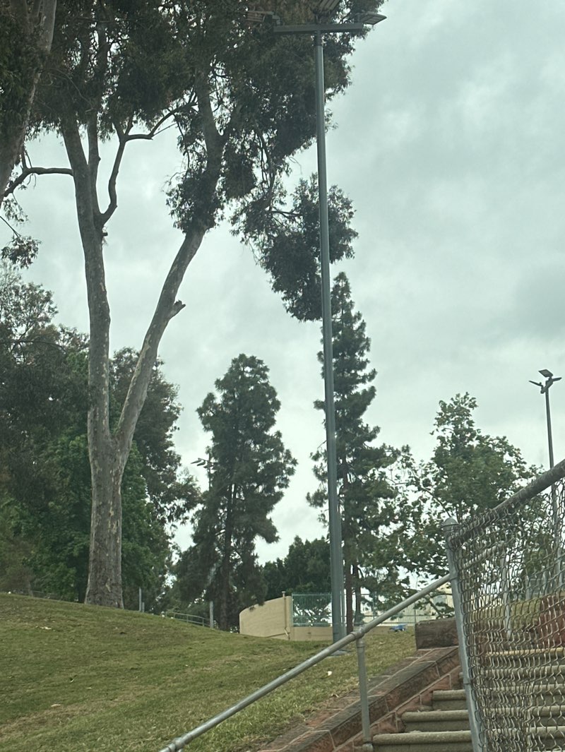 walking near me in City Terrace Park in spring