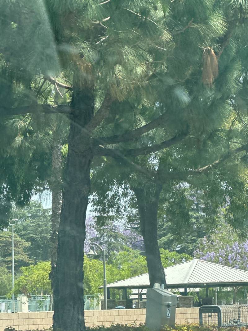 walking near me in Apollo Park in spring