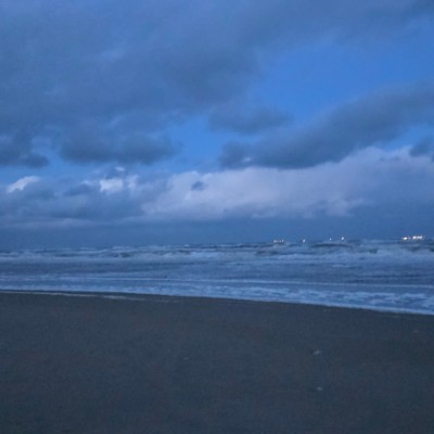 Nederland beweegt viola strijk post image