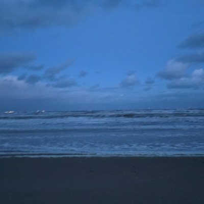 Nederland beweegt viola strijk post image